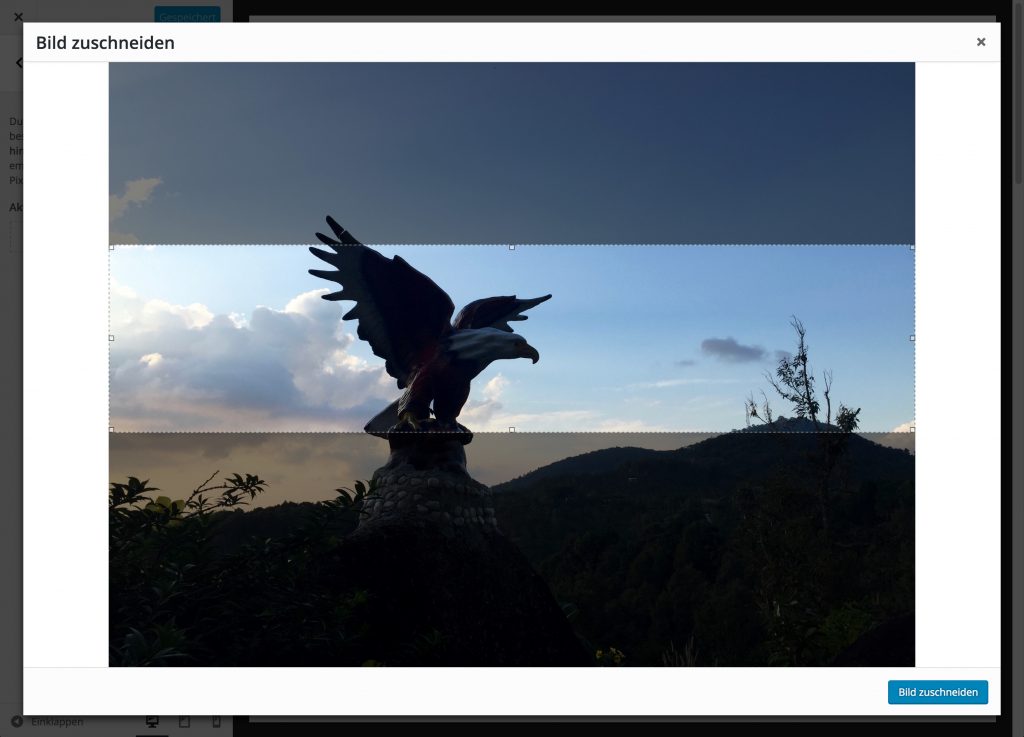 Zuschneiden eines Bildes in der WordPress Mediathek