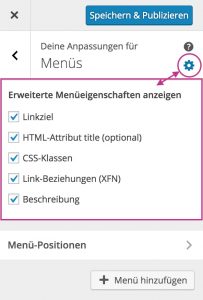 Übersicht über Menüs im WordPress Customizer