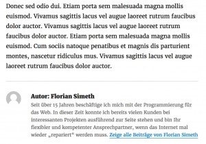 TwentySixteen Theme Autorinformation