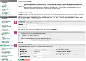 Formular bei DF zur Installation von WordPress