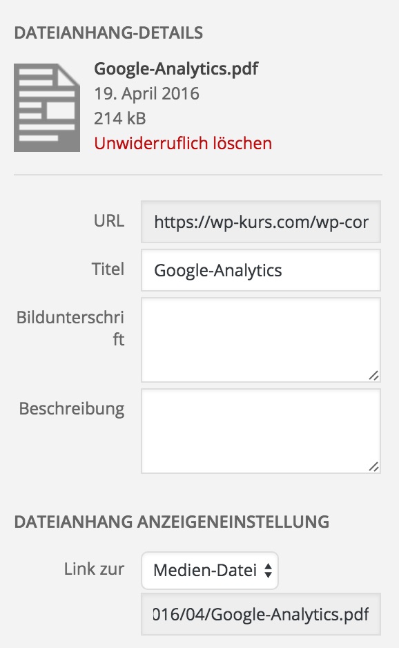 Ausgewählte PDF-Datei in der WordPress Mediathek