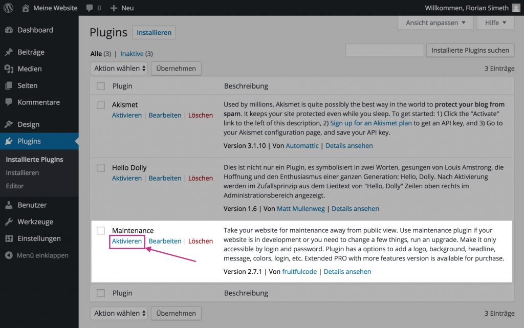 WordPress Plugin-Liste mit Aktivieren-Link