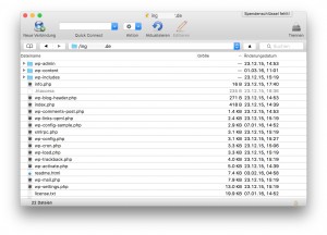 WordPress-Dateien im Cyberduck-Vergbindungsfenster